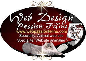 Webdesign & Internet Solution